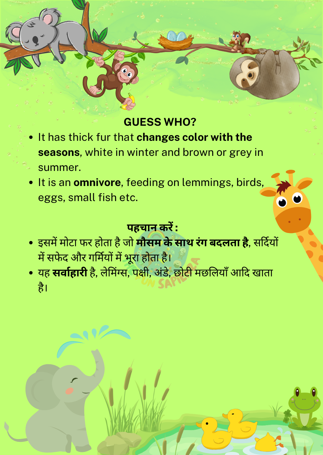 Animal 3 Back